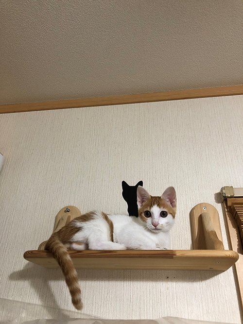 占い師光奈のお気に入り写真2